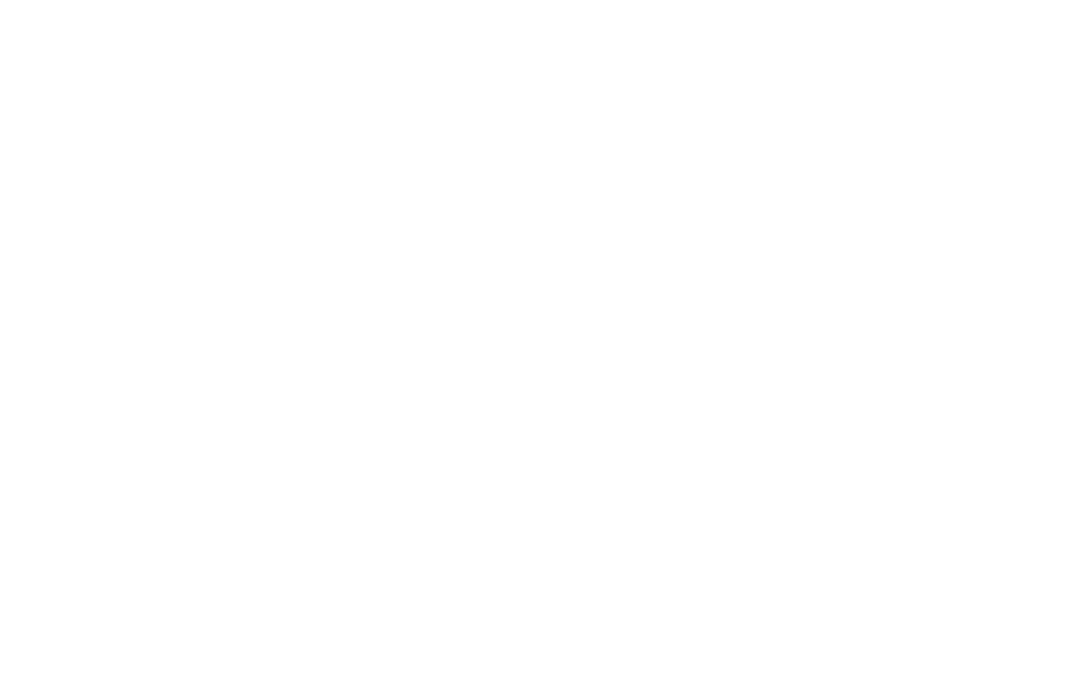 IDE Consultant Logo